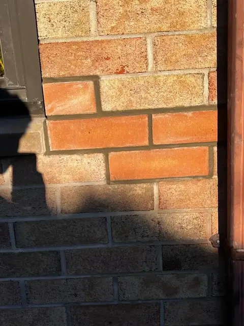 Brick Pointing & Repair project photo 3