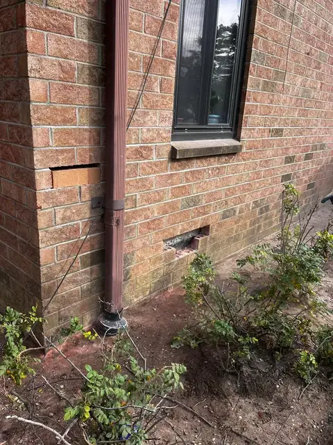 Brick Pointing & Repair project photo 5