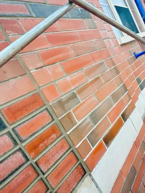 Brick Pointing & Repair project photo 7